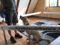 28 Krebssuche